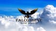 Falconseye Aerial Solutions
