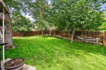 Plush green yard with mature trees for plenty of shade