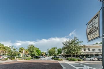 Downtown Palm Harbor1