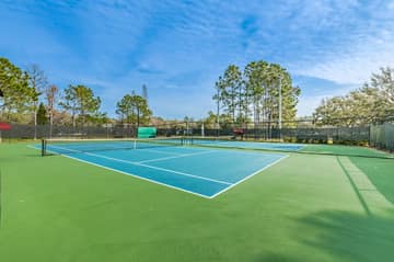 FishHawk Osprey Club Tennis Courts