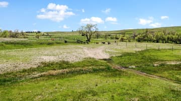 60-Acres of very useable flat land and a continuous creek flowing across the property